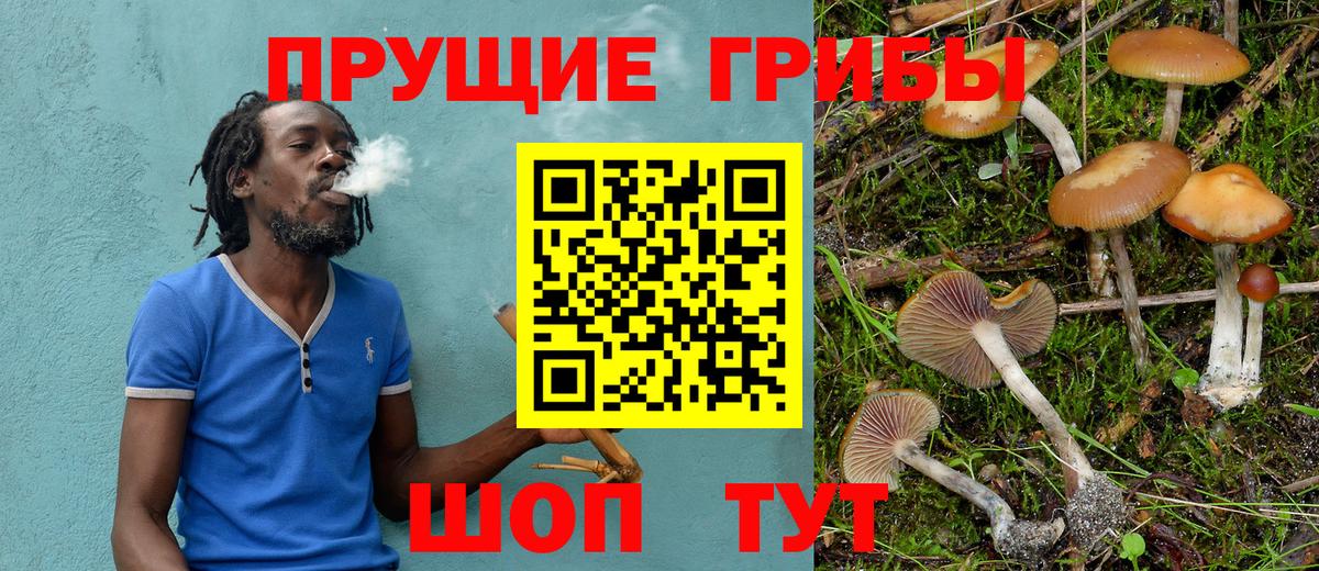 Псилоцибиновые грибы Cubensis  Вход с VPN  Ликино-Дулёво 